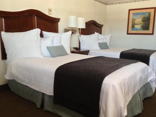 Holiday Hill Inn & Suites image 16