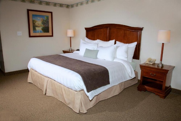 Holiday Hill Inn & Suites image 21